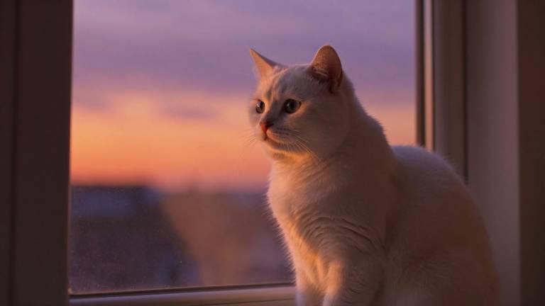 《上有老下有小》开播 杨玏邓家佳演绎三明治“新中式”青年生活