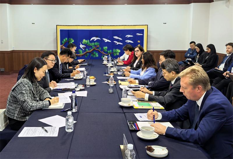 凌激副部长兼国际贸易谈判副代表出席中国与DEPA成员部级会议