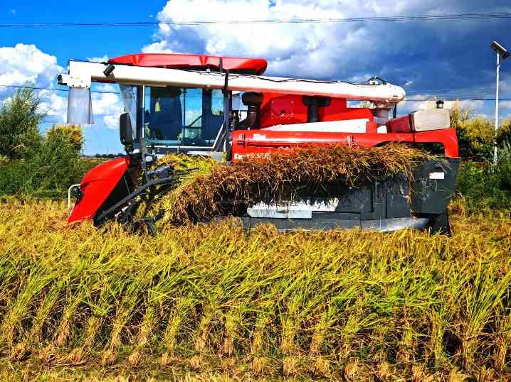 中国三星蝉联外企责任榜首 社会责任三年战略成效显著