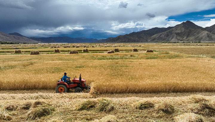 中央农村工作会议部署三农重点任务