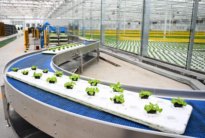 中央农村工作会议部署三农重点任务