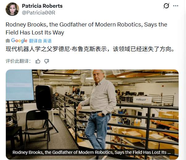 人形机器人泡沫破裂？专家警示三大致命缺陷