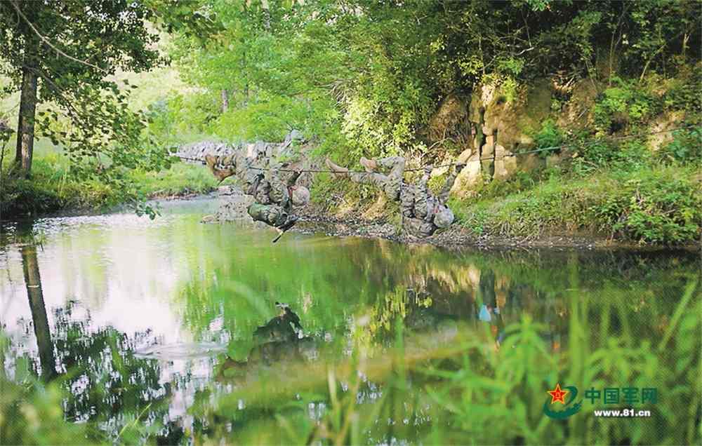 新连队的荣誉驱动力：如何书写崭新篇章