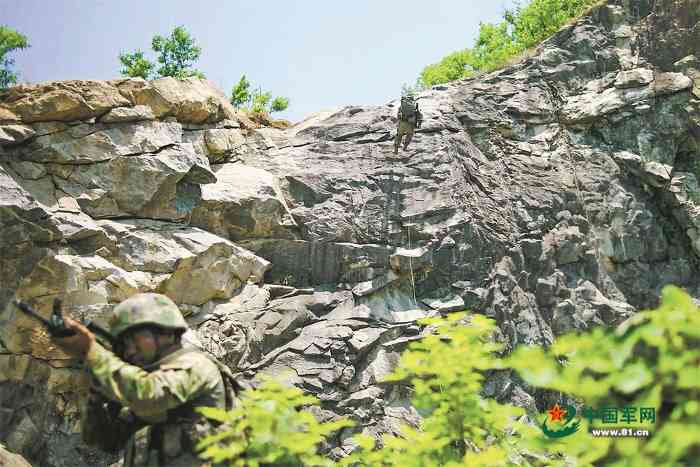 新连队的荣誉驱动力：如何书写崭新篇章