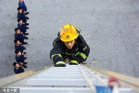 夏日美景视觉盛宴 多场景展现生态与人文