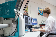 医疗离型膜应用解析：安全性能与创新突破