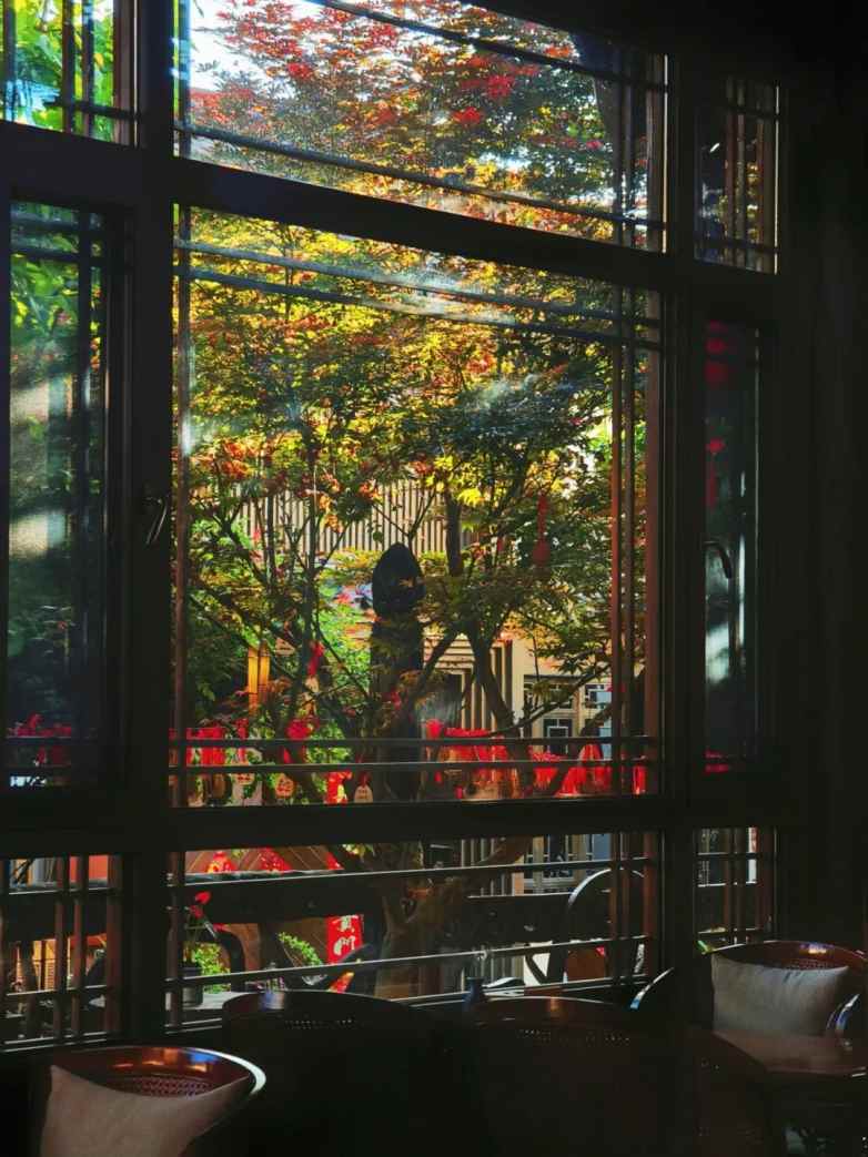 窗景美学重塑旅行体验 一扇窗看尽山水意境