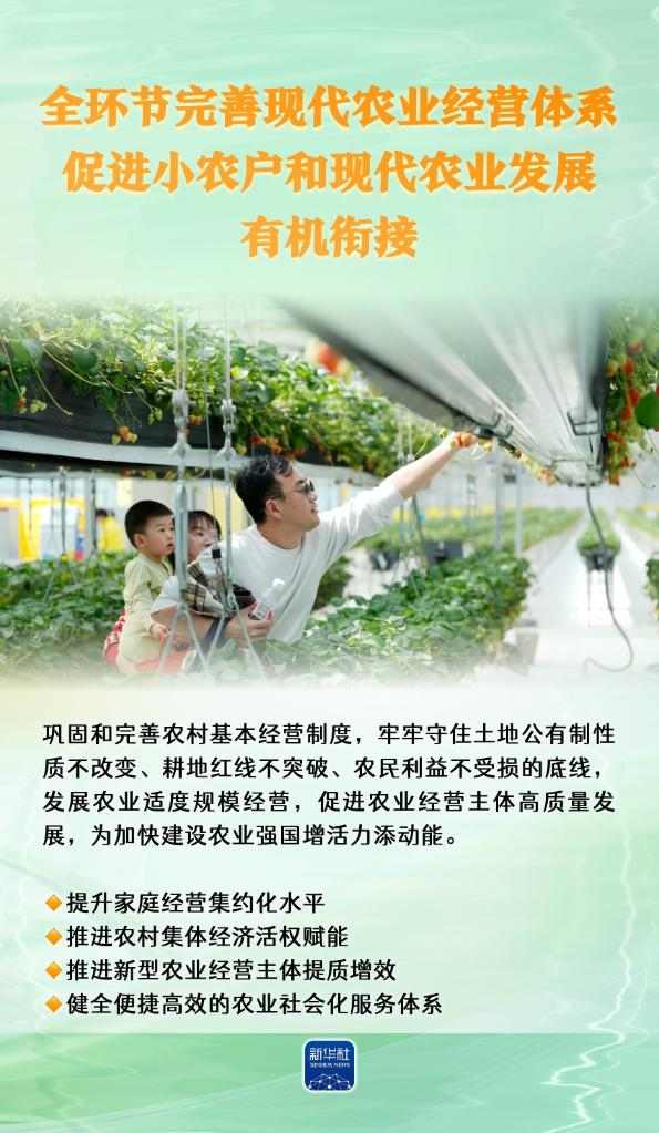 农业强国怎么干?“施工图”来了! 农业强国怎么干?“施工图”来了!