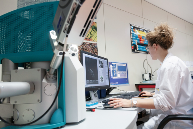 大健康产业升级：离型膜技术助力生产安全与品牌全球化