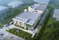 大健康产业升级：离型膜技术助力生产安全与品牌全球化