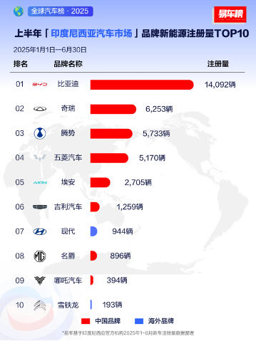 2025上半年比亚迪领跑全球多个新能源汽车市场