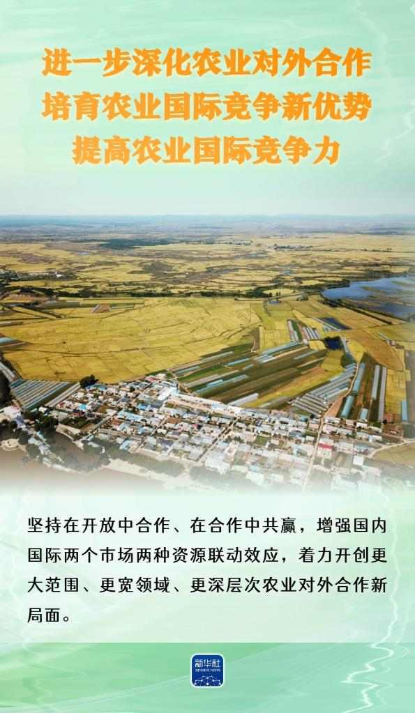 农业强国怎么干?“施工图”来了! 农业强国怎么干?“施工图”来了!
