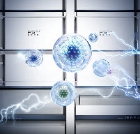 高效保鲜新体验：大容量冰箱打破食材储存焦虑