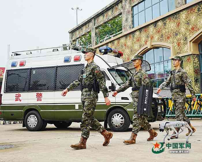 科技强勤助力武警执勤效率跃升 科技强勤助力武警执勤效率跃升