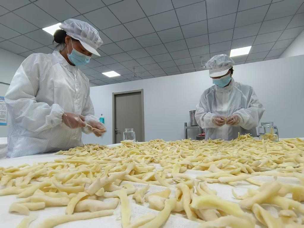 土特产助力农民增收 林下经济激活乡村振兴新动能