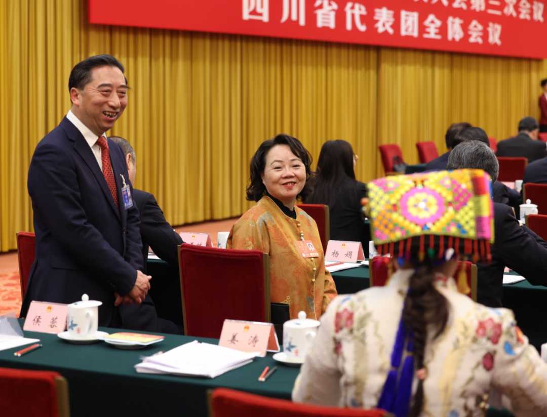 两会现场聚焦：代表委员热议城乡融合与政策红利