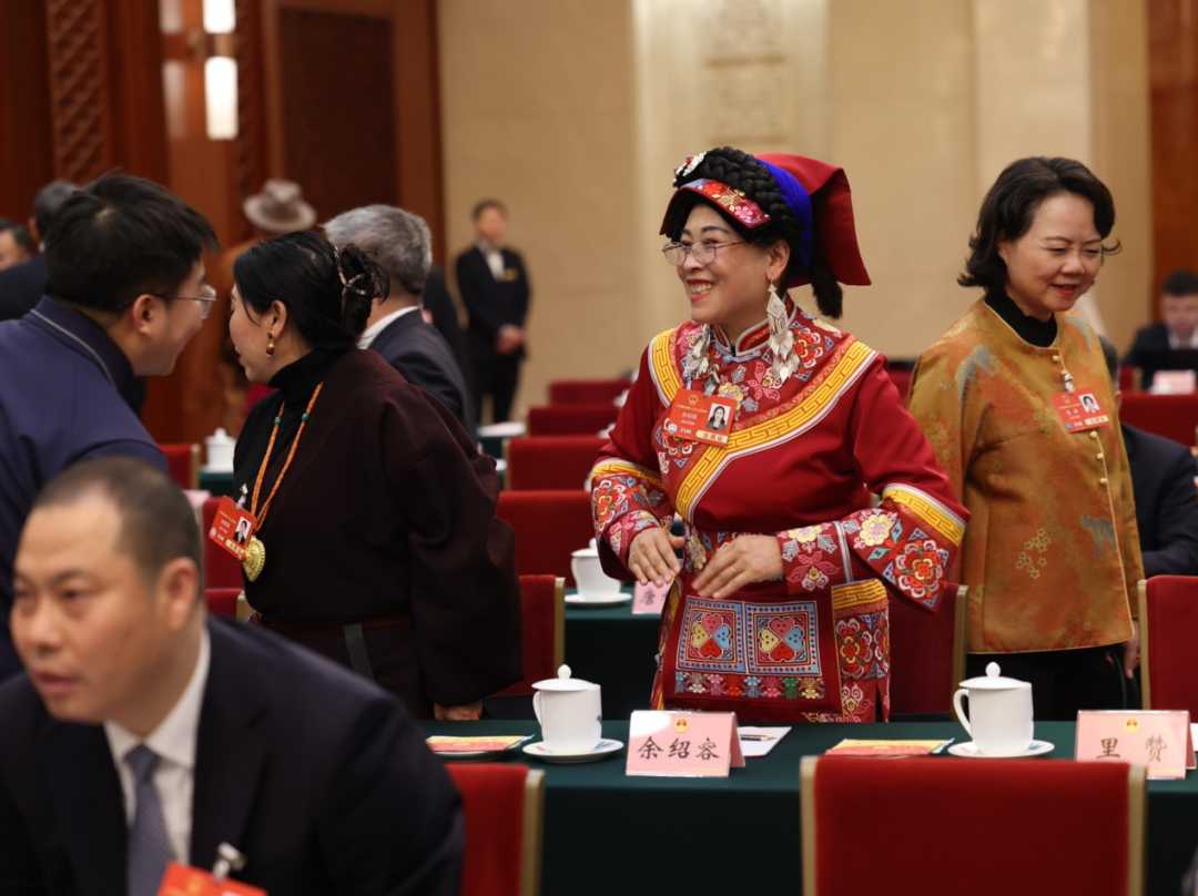 两会现场聚焦：代表委员热议城乡融合与政策红利