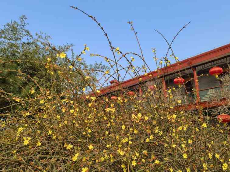 两会现场聚焦：代表委员热议城乡融合与政策红利