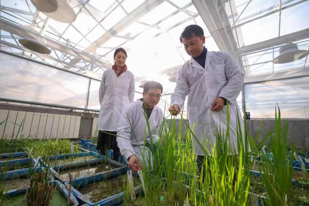 农资供应有保障吗?科技赋能力度有多强?三问春耕 农资供应有保障吗?科技赋能力度有多强?三问春耕