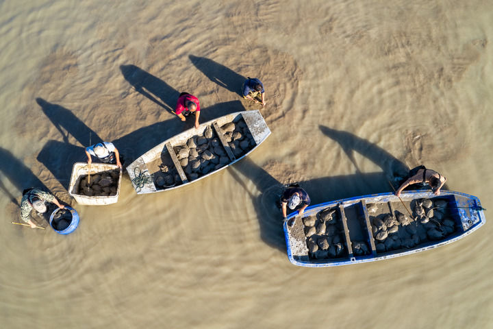 激发乡村全面振兴澎湃动能——中国经济圆桌会聚焦2025年中央一号文件 激发乡村全面振兴澎湃动能——中国经济圆桌会聚焦2025年中央一号文件