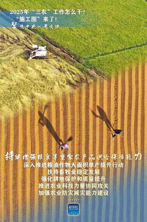 2025年“三农”工作怎么干？“施工图”来了！