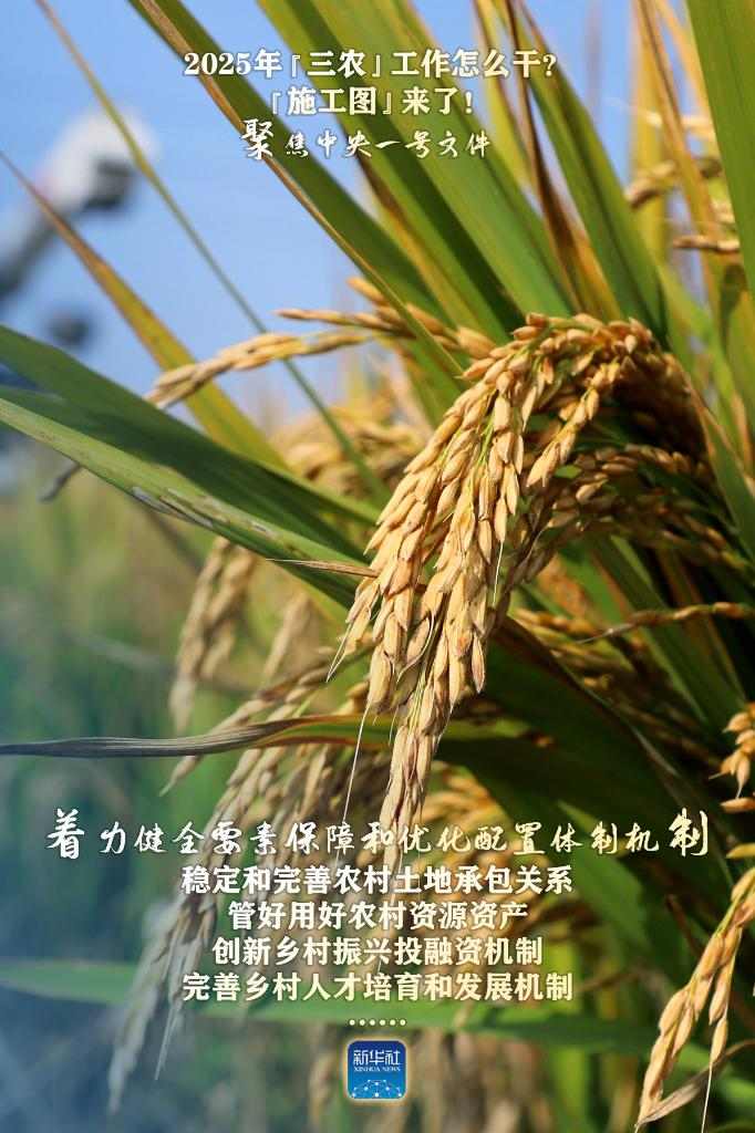 2025年“三农”工作怎么干？“施工图”来了！