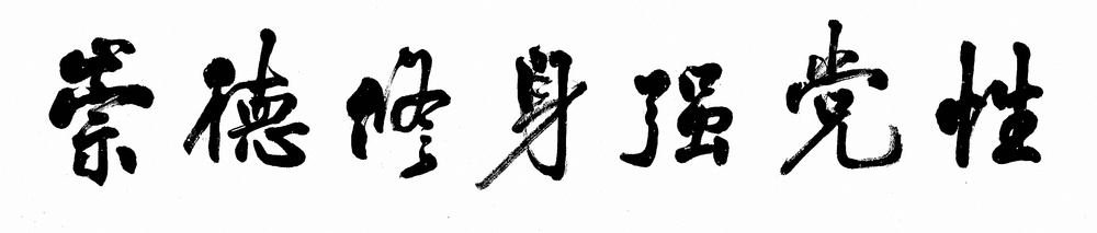 弘扬优良传统 深化政治整训丨崇德修身强党性