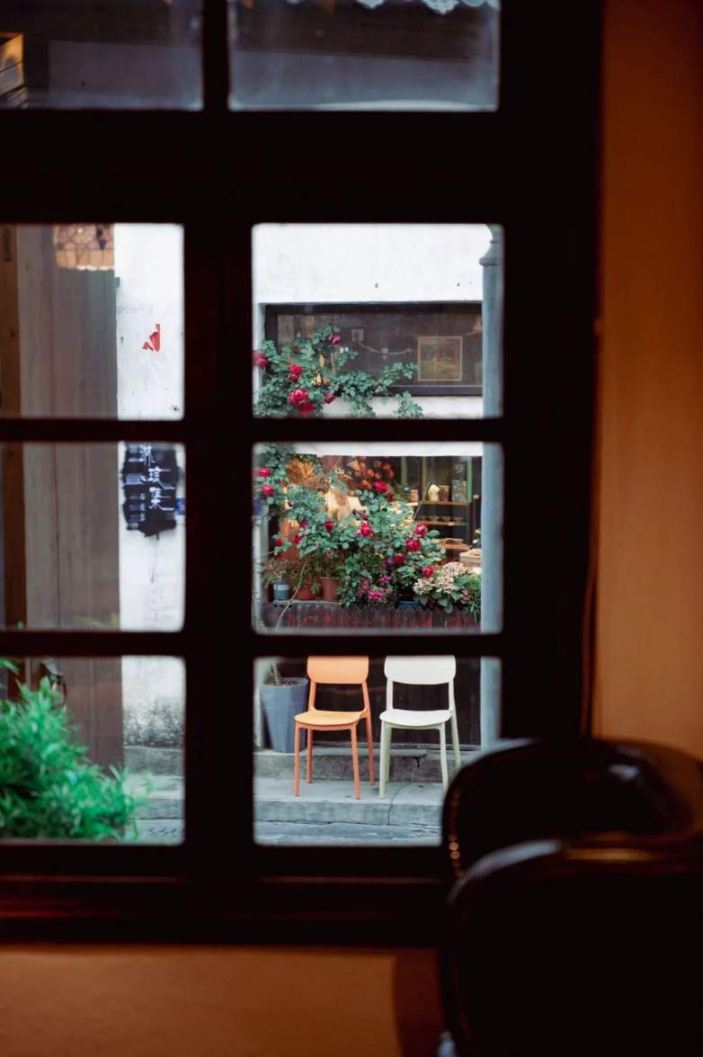 庭午，蝉没收了时间