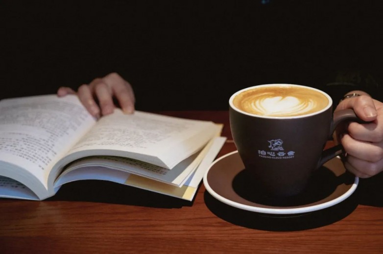 庭午，蝉没收了时间