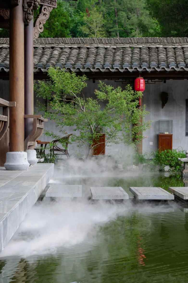 庭午，蝉没收了时间