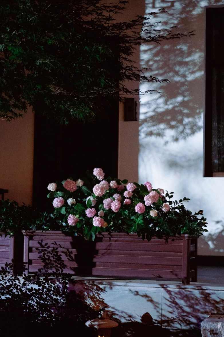 庭午，蝉没收了时间