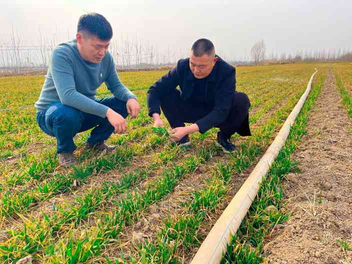 农资供应有保障吗?科技赋能力度有多强?三问春耕 农资供应有保障吗?科技赋能力度有多强?三问春耕