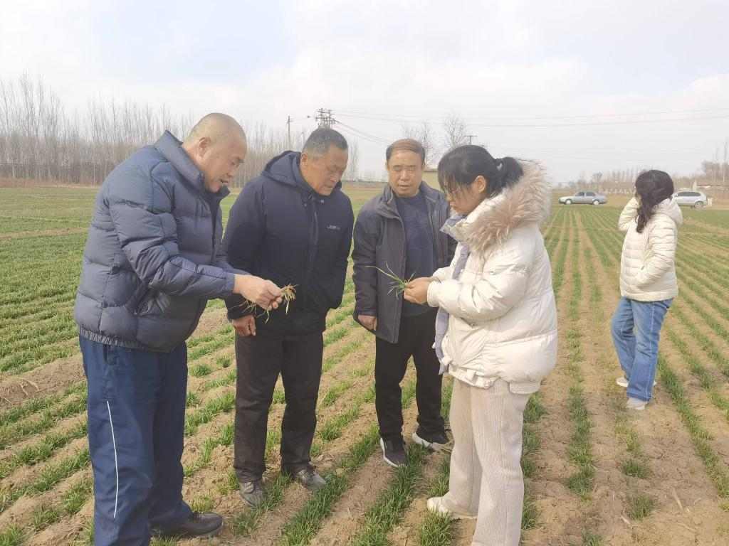 农资供应有保障吗?科技赋能力度有多强?三问春耕 农资供应有保障吗?科技赋能力度有多强?三问春耕
