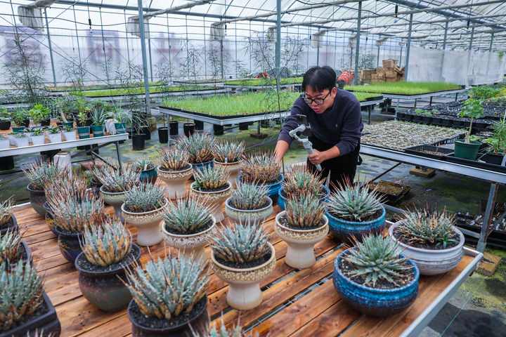 激发乡村全面振兴澎湃动能——中国经济圆桌会聚焦2025年中央一号文件 激发乡村全面振兴澎湃动能——中国经济圆桌会聚焦2025年中央一号文件