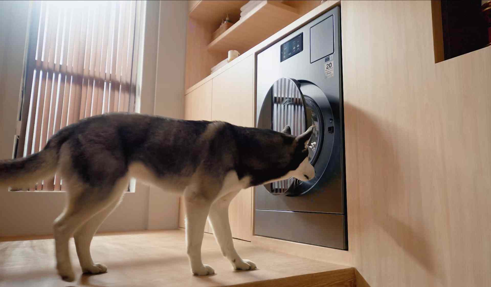 三星AI神 黑钻热泵洗烘旗舰：智慧洗烘一键掌控 让养宠家庭更安心