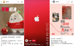 苹果小红书官方账号入驻掀起用户互动热潮
