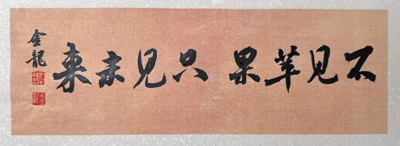 全屏通头显颠覆传统，BFO光学模组引领科技新潮流