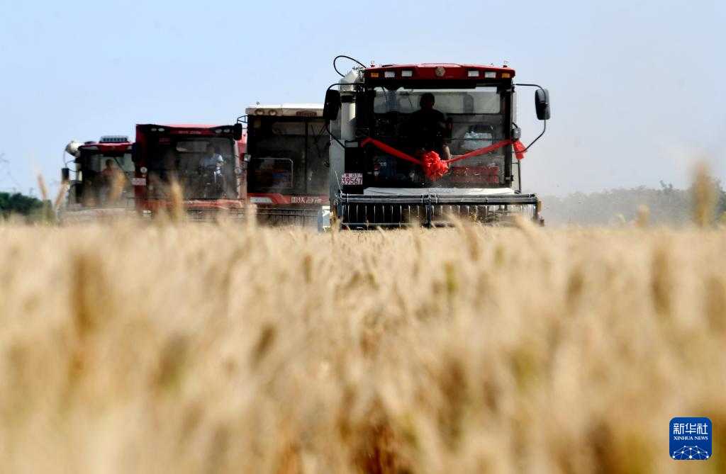 全国夏粮小麦收获达2.6亿亩 收割进度超七成四 全国夏粮小麦收获达2.6亿亩 收割进度超七成四