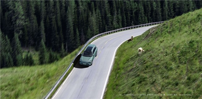 30万左右的suv推荐：越野SUV多面手深度解析