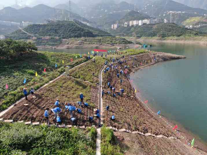中国建成长江流域特有珍稀植物保育基地