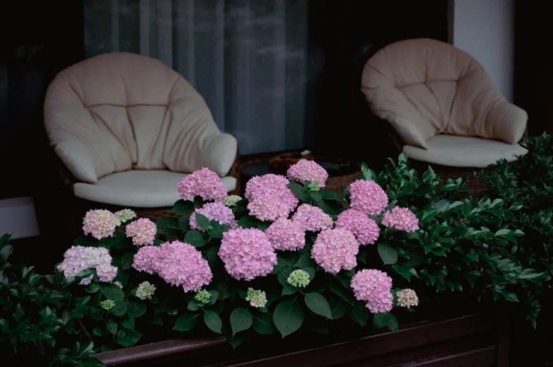 徽派古宅里的诗意栖居，西递古村泊心云舍明经园的文化韵味