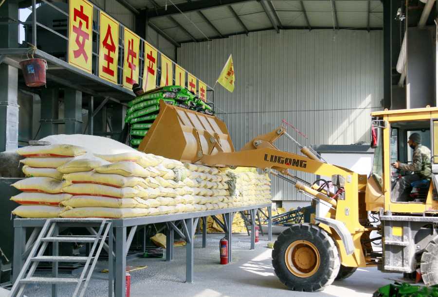 夏收粮油丰收在望 面积稳定长势良好单产提升