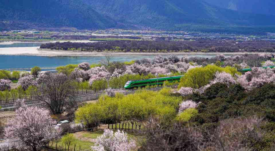十五五规划重要意义与发展方向解析 十五五规划重要意义与发展方向解析