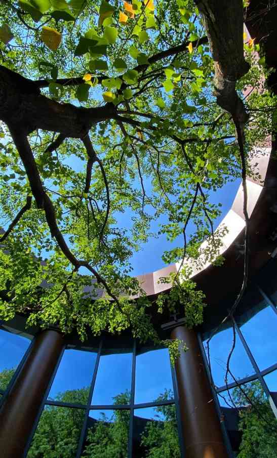 国风民宿，泊心云舍的中式美学