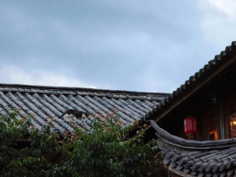 国风民宿，泊心云舍的中式美学