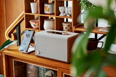 杰科携Q25惊艳2025阳江音响节：Wi-Fi无损黑科技重构音质新标杆