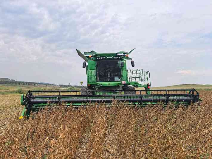 秋粮收获季各地抢收忙 确保丰产丰收农民增收有保障