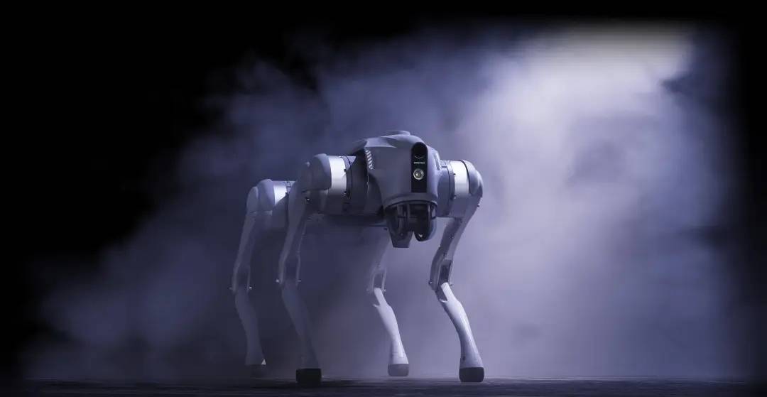 2025高交会机器人展重磅来袭，人机共生智启未来引领产业变革