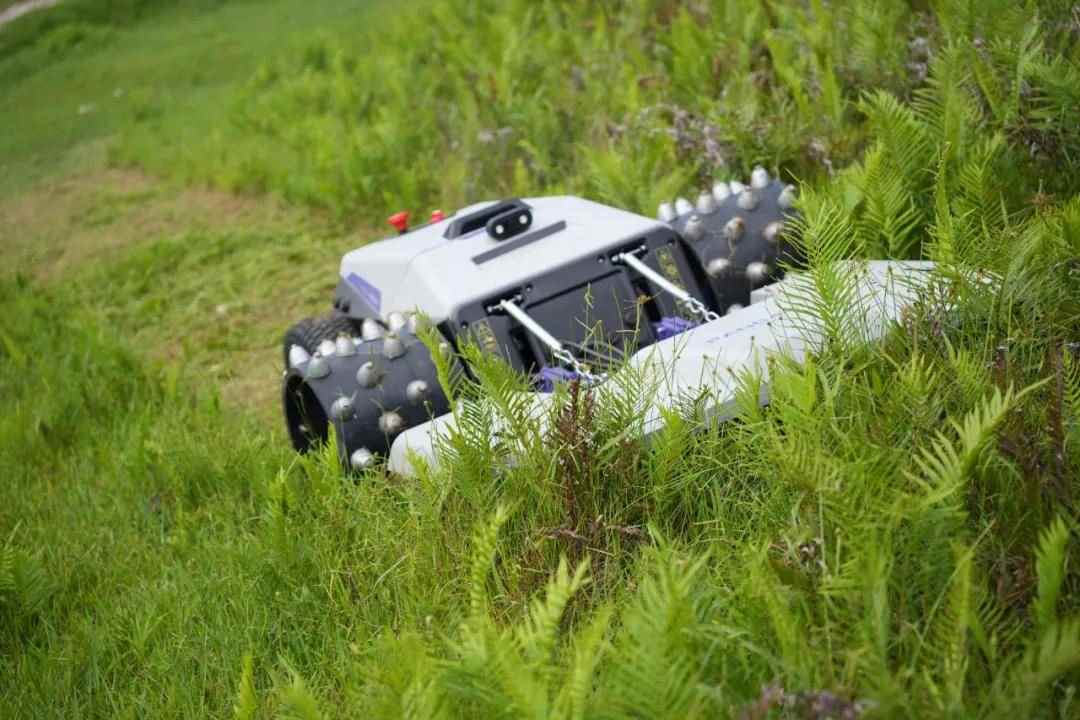 2025高交会机器人展重磅来袭，人机共生智启未来引领产业变革