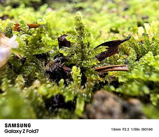 折叠视角看创新之都 三星Galaxy Z系列影像沙龙在深圳举办